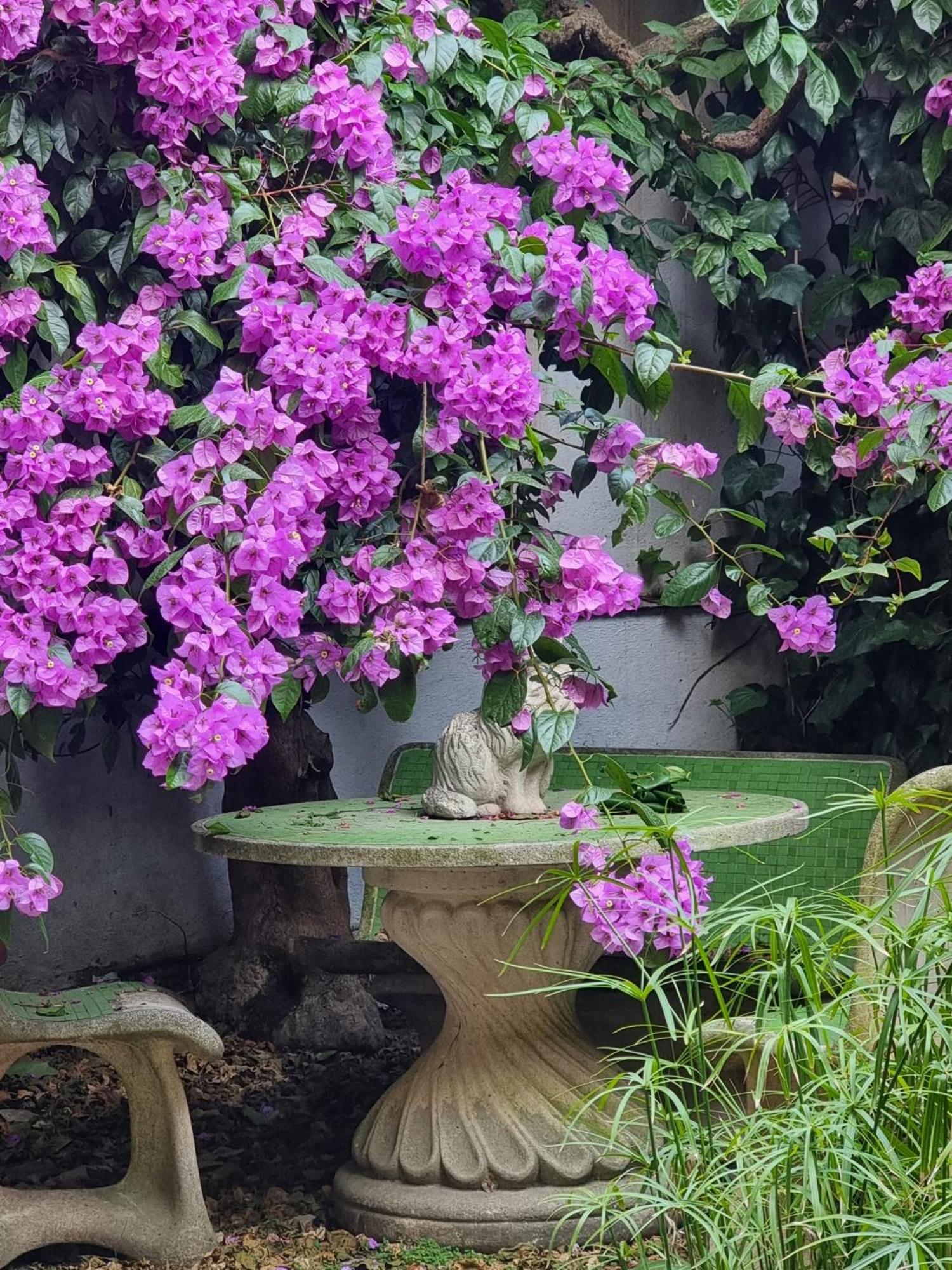 Vatican Fairytale Garden Roma Dış mekan fotoğraf